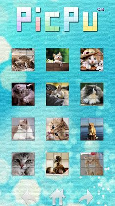PicPu - Cat Picture Puzzle - Screenshot 2
