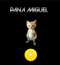 Pana miguel el juego - Screenshot 1