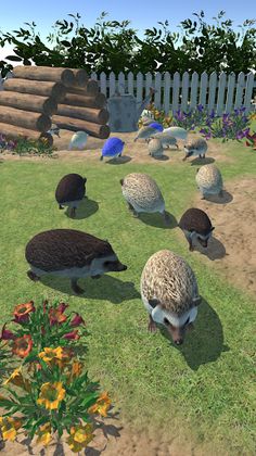 Hedgehog Friends - Screenshot 3