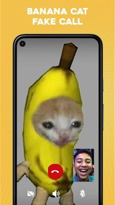Banana Cat Fake Call Meme - Screenshot 3