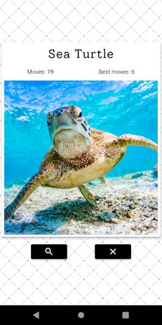 Puzzle Pic - Screenshot 1