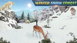 Wild Animal Hunting Games - Screenshot 3