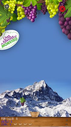 Raccogli Uva - Screenshot 2