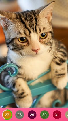 Pixel Art - Paint by Number - Screenshot 1