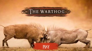 The Warthog - Screenshot 2