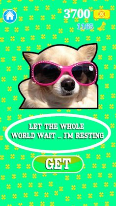 Dog Meme Quest - Run & Jump - Screenshot 2