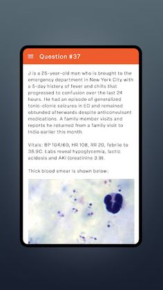 Kaizen Education - Screenshot 2