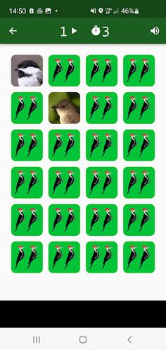 Mémoire d'oiseau - Screenshot 1