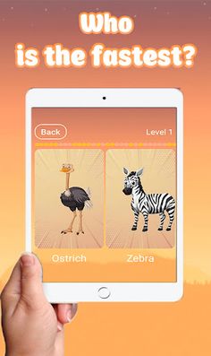Yuhd: Zoo Quiz - Screenshot 4