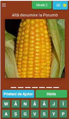 Raspunde Corect - Screenshot 2