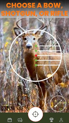 Shoot & Release: Camera Hunter - Screenshot 3