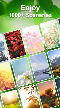 Zenscapes: Zen Match HomeDecor - Screenshot 4