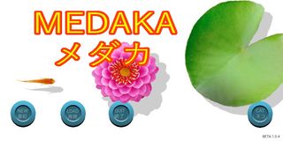 MEDAKA - Screenshot 1