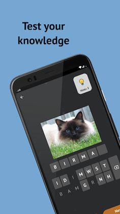 Cat Breeds: Quiz - Screenshot 1