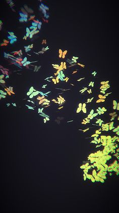 Tickles - Screenshot 2