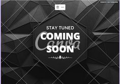 Bird Sort Puzzle - Screenshot 4