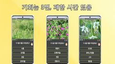 길거리 식물 이름 맞추기 - Screenshot 3