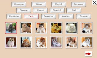 Guess the Cat: Tile Puzzle - Screenshot 2