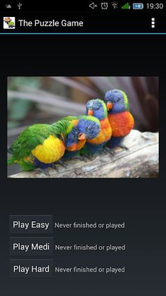 The Puzzle Game - Screenshot 1