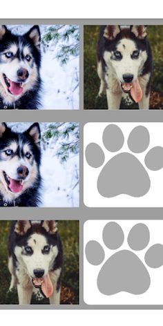 Husky Memory Game - Screenshot 4