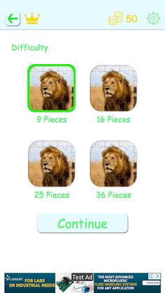 Challenge Puzzle: Mystery - Screenshot 2