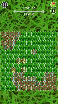 Hexagon Minesweeper - Screenshot 3