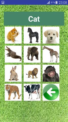 learn animals for kids - Screenshot 2