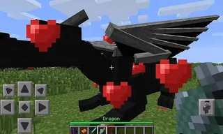 Black dragon mod for mcpe - Screenshot 1