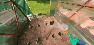 Greenhouse Simulator VR Game - Screenshot 2