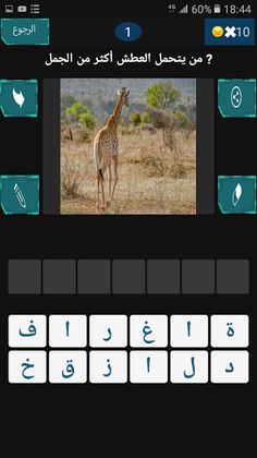 وصلة عربية - ثقافة عامة - Screenshot 3