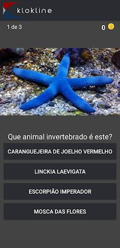 60 Invertebrados Desafio - Screenshot 2