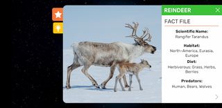 Globe Explorer - Screenshot 3