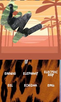 Animals , guess which one - Screenshot 4