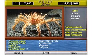 Monterey Bay Sea Life - Screenshot 2