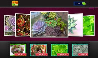 Succulent Plants Jigsaw Puzzle - Screenshot 3