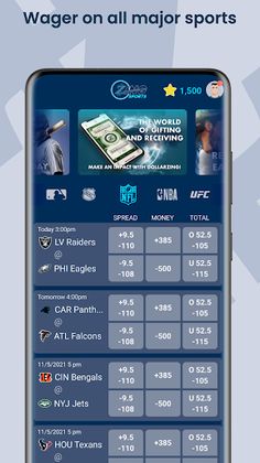 ZingSports - Screenshot 1