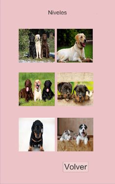 Ordonner - Screenshot 2