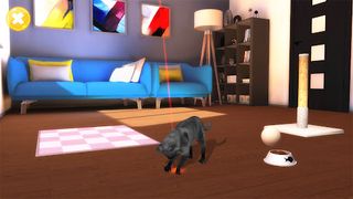 Talking Mumbai Cat - Screenshot 2