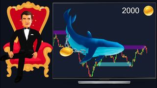 Whale OR Candle - Screenshot 3