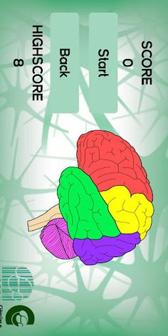 Simon Cérebro - Screenshot 1