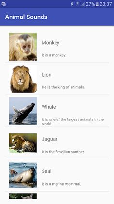 Animals Sounds - Beta - Screenshot 2