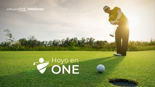 Hoyo en One - Screenshot 1