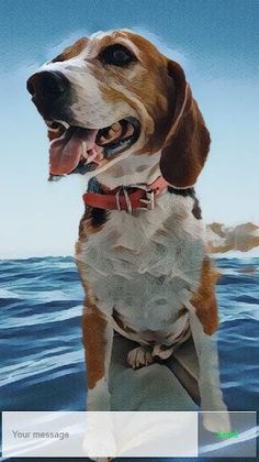 T-Dog - Screenshot 2