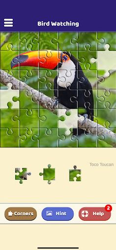 Bird Watching Puzzle - Screenshot 4