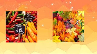 Jigsaw Puzzle Game - Screenshot 3