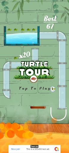 Turtle Tour - Screenshot 1