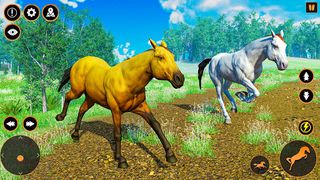 Wild Horse Games: Horse Family - Screenshot 3