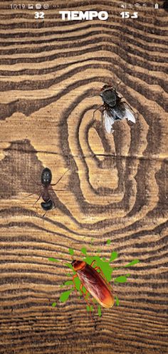 Mosca aplasta kill bugs games - Screenshot 3