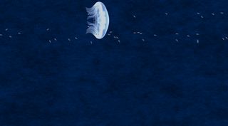 Jellyfish breeding game - free - Screenshot 2