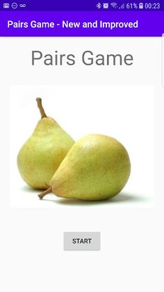 Pairs Game - Screenshot 1